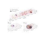 Explaining Ultramassive Quiescent Galaxies at 3 < z < 5 in the Context of Their Environments