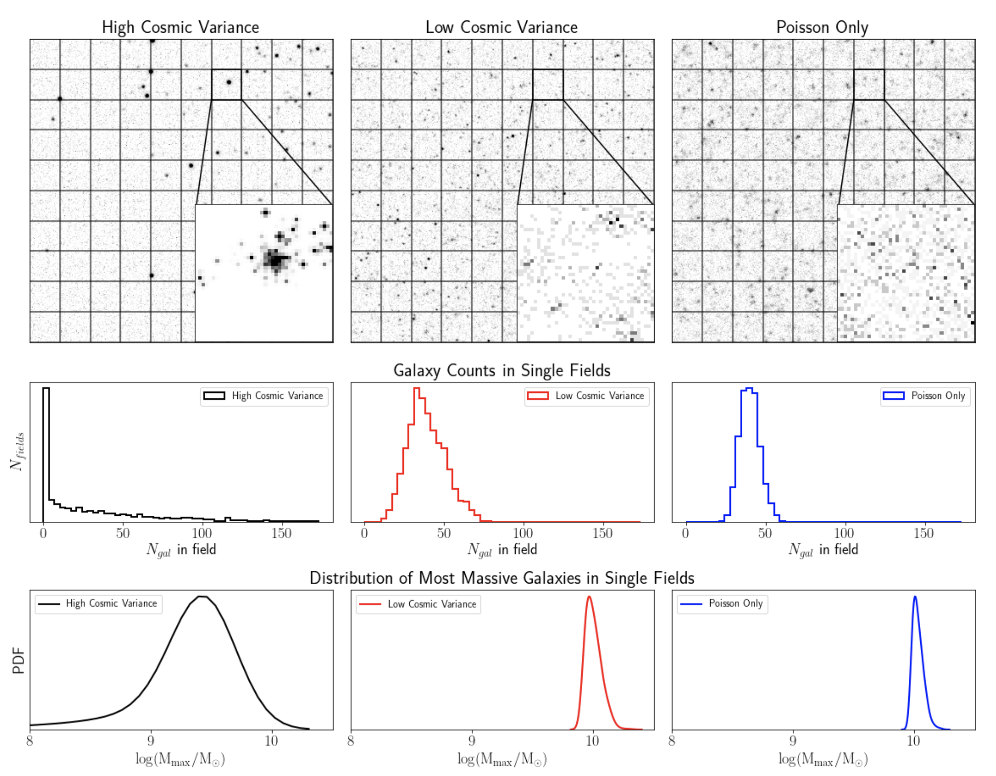 Clustering, or cosmic variance, greatly impacts the observed distribution of massive galaxies at high redshift!