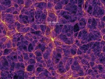 Clustering and galaxy environments from the Local Universe to Cosmic Dawn @Perimeter